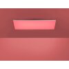 Paul Neuhaus FRAMELESS Plafoniera LED Bianco, 1-Luce, Telecomando, Cambia colore