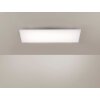 Paul Neuhaus FRAMELESS Plafoniera LED Bianco, 1-Luce, Telecomando, Cambia colore