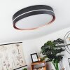 Cachalot Plafoniera LED Ramato, Nero, 1-Luce, Telecomando, Cambia colore