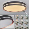 Cachalot Plafoniera LED Ramato, Nero, 1-Luce, Telecomando, Cambia colore