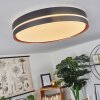 Cachalot Plafoniera LED Ramato, Nero, 1-Luce, Telecomando, Cambia colore