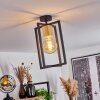 Bergo Plafoniera Nero, 1-Luce
