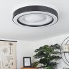 Zeballos Plafoniera LED Bianco, 1-Luce, Telecomando, Cambia colore