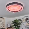 Zeballos Plafoniera LED Bianco, 1-Luce, Telecomando, Cambia colore