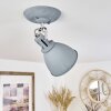 Koppom Plafoniera Cromo, Grigio, 1-Luce