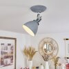 Koppom Plafoniera Cromo, Grigio, 1-Luce