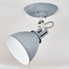 Koppom Plafoniera Cromo, Grigio, 1-Luce