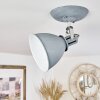 Koppom Plafoniera Cromo, Grigio, 1-Luce