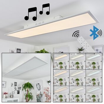 Barasat Plafoniera LED Bianco, 1-Luce, Telecomando