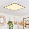 Barasat Plafoniera LED Bianco, 1-Luce