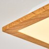 Barasat Plafoniera LED Bianco, 1-Luce