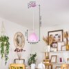 Roseway Lampadario a sospensione Fucsia, 1-Luce