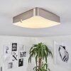 Hutton Plafoniera LED Nichel opaco, 1-Luce