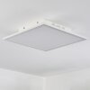 Barasat Plafoniera LED Bianco, 1-Luce