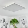 Barasat Plafoniera LED Bianco, 1-Luce