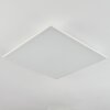 Barasat Plafoniera LED Bianco, 1-Luce Barasat Plafoniera LED Bianco, 1-Luce