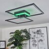 Lithgow Plafoniera LED Nero, 2-Luci, Telecomando, Cambia colore