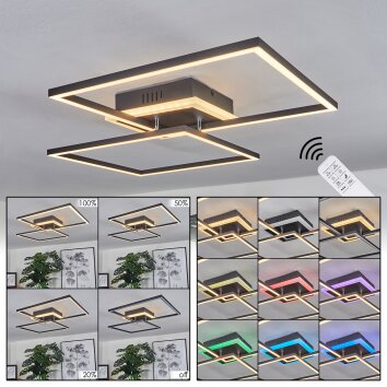 Lithgow Plafoniera LED Nero, 2-Luci, Telecomando, Cambia colore