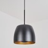 Viking Lampadario a sospensione Nero, 1-Luce