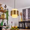 Vivian Lampadario a sospensione Ottone, 1-Luce