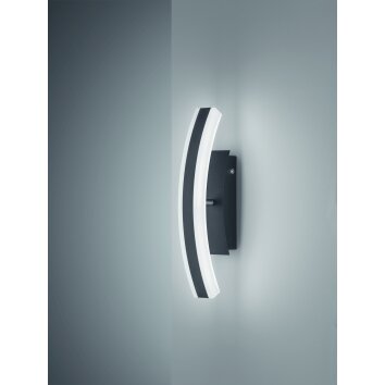 Fischer & Honsel Stiff TW Applique LED Nero, 1-Luce