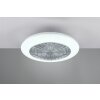 Reality Stralsund Ventilatore LED Titanio, 1-Luce, Telecomando