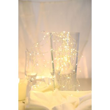 Globo Catenaria luminosa LED Argento, 20-Luci