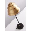 Holländer SNAIL ONE Lampada da tavolo Marrone, Oro, 1-Luce