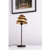Holländer SNAIL ONE Lampada da tavolo Marrone, Oro, 1-Luce