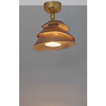 Holländer SNAIL Faretto da soffitto Oro, 1-Luce