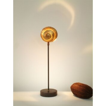 Holländer PICCOLA NAUTILO Lampada da tavolo Marrone, Oro, 1-Luce