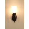 Holländer TORCIA CONO Applique Marrone, Oro, 1-Luce