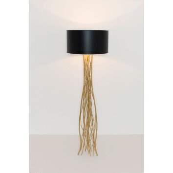 Holländer CAPRI Lampada da tavolo Oro, 1-Luce