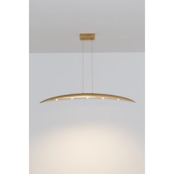 Holländer COSTELLAZIONE Lampadario a sospensione LED Oro, 5-Luci