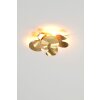 Holländer CONTROVERSIA Applique LED Oro, 5-Luci