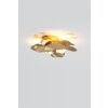 Holländer CONTROVERSIA Applique LED Oro, 5-Luci