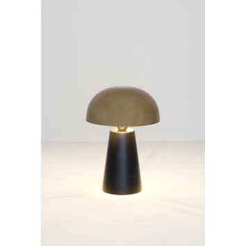 Holländer FUNGO Lampada da tavolo Oro, Nero, 1-Luce