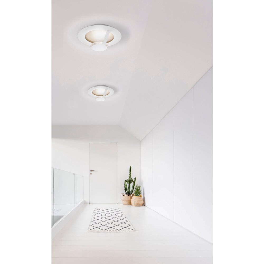Grossmann FLAT Plafoniera LED Marrone, Oro, Bianco, 1-Luce main product photo