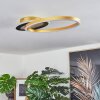 Deroche Plafoniera LED Oro, Nero, 1-Luce