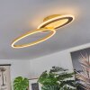 Deroche Plafoniera LED Oro, Nero, 1-Luce