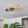 Deroche Plafoniera LED Oro, Nero, 1-Luce