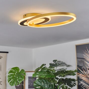 Deroche Plafoniera LED Oro, Nero, 1-Luce