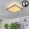 Barasat Plafoniera LED Nero, Bianco, 2-Luci