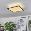 Barasat Plafoniera LED Nero, Bianco, 2-Luci