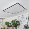 Barasat Plafoniera LED Nero, Bianco, 2-Luci