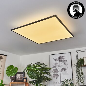 Barasat Plafoniera LED Nero, Bianco, 2-Luci