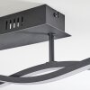 Eaglesham Plafoniera LED Nero, 1-Luce