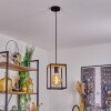 Colebrook Lampadario a sospensione Nero, 1-Luce