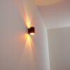 Applique Letsbo Nero-Oro, 1-Luce