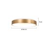 Steinhauer Ringlede Plafoniera Oro, 1-Luce